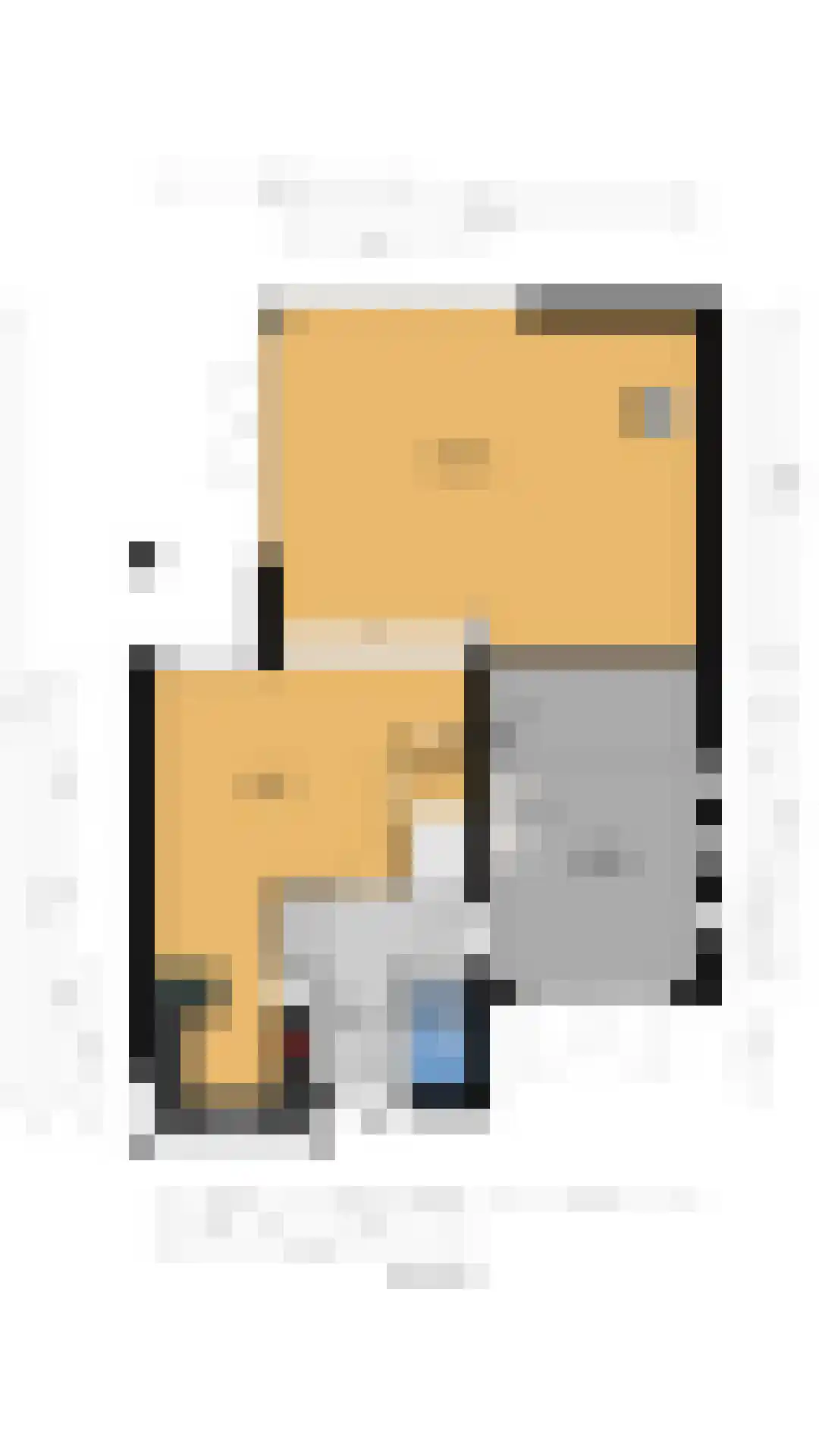De Dintel 26 Naaldwijk thumbnail 46