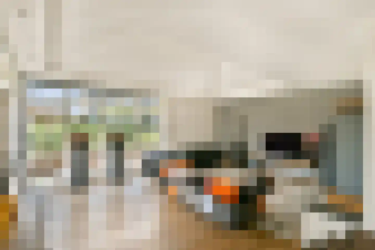 De Dintel 26 Naaldwijk thumbnail 5