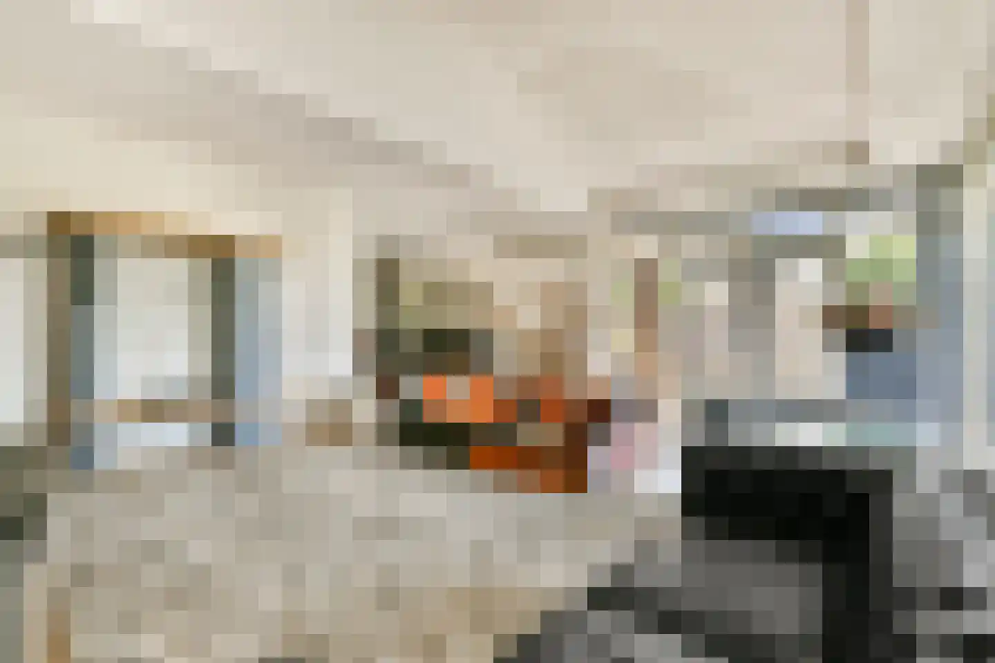 De Dintel 26 Naaldwijk thumbnail 7