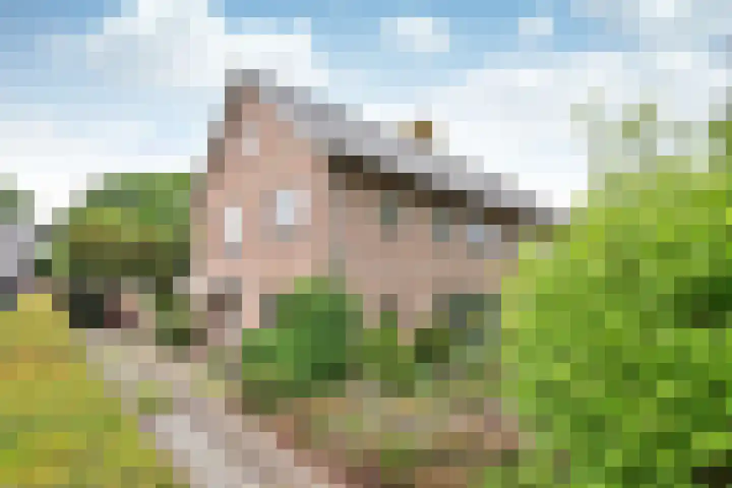De Dissel 6 Laren
