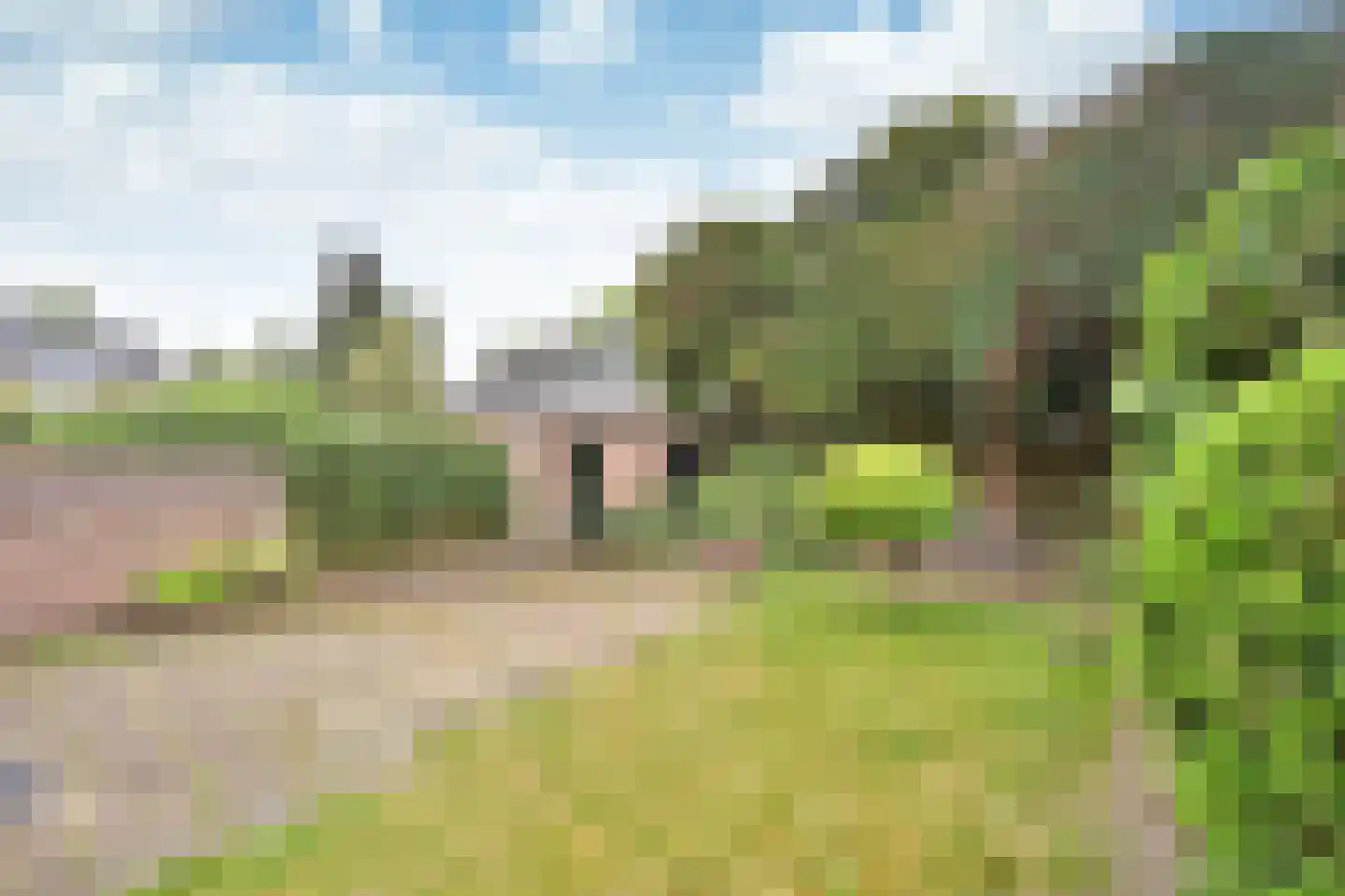 De Dissel 6 Laren thumbnail 10