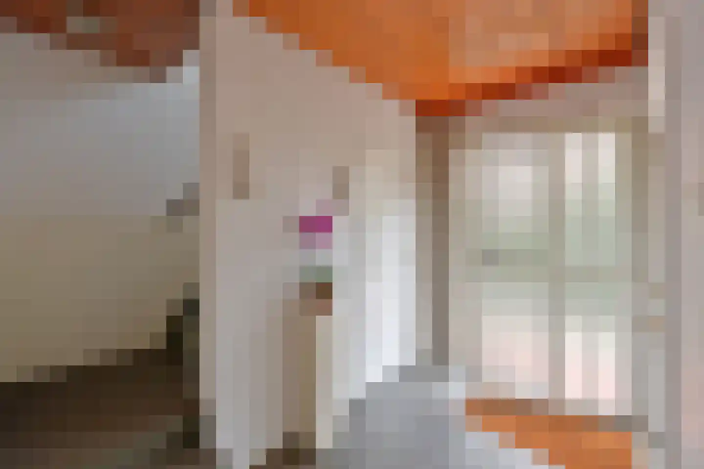De Dissel 6 Laren thumbnail 11