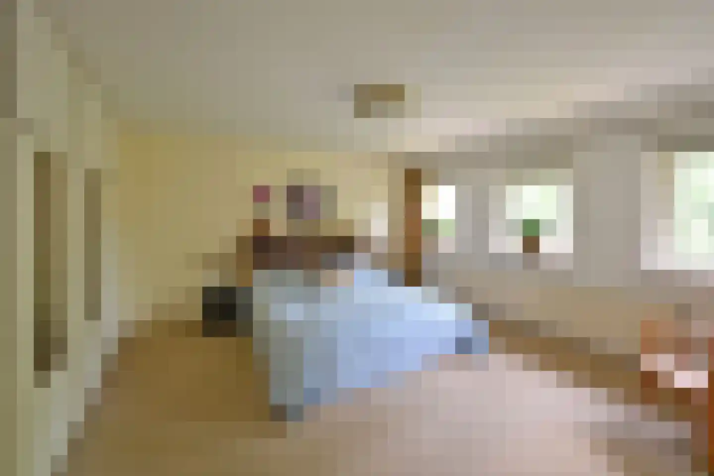 De Dissel 6 Laren thumbnail 14