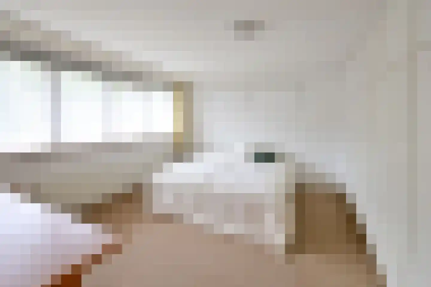 De Dissel 6 Laren thumbnail 17