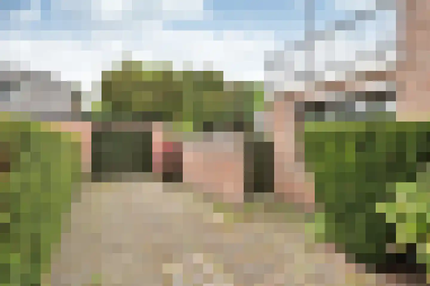 De Dissel 6 Laren thumbnail 20