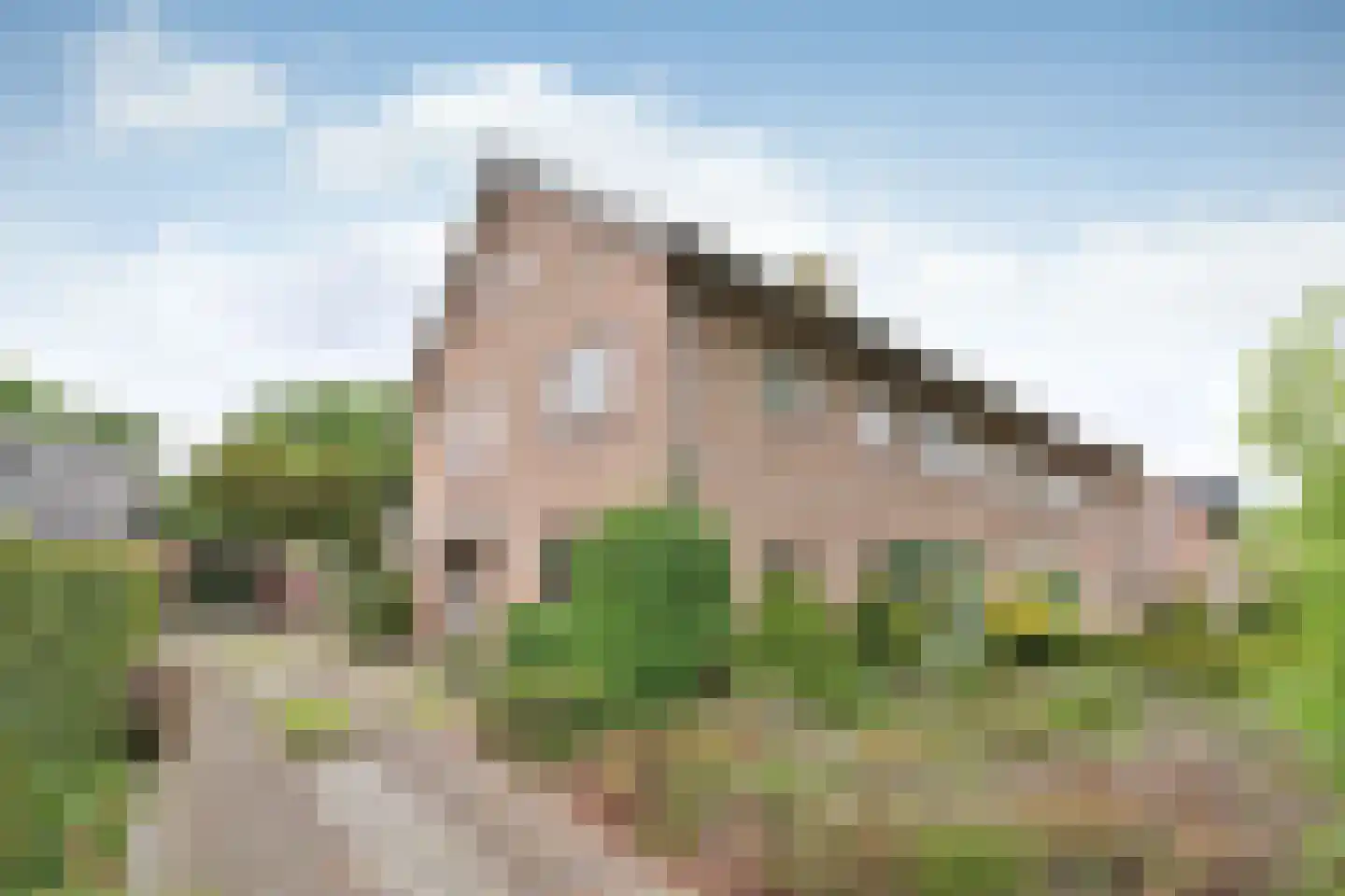 De Dissel 6 Laren thumbnail 22