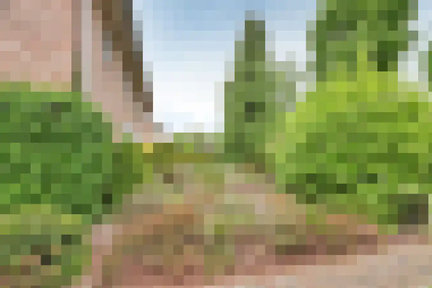 De Dissel 6 Laren thumbnail 23