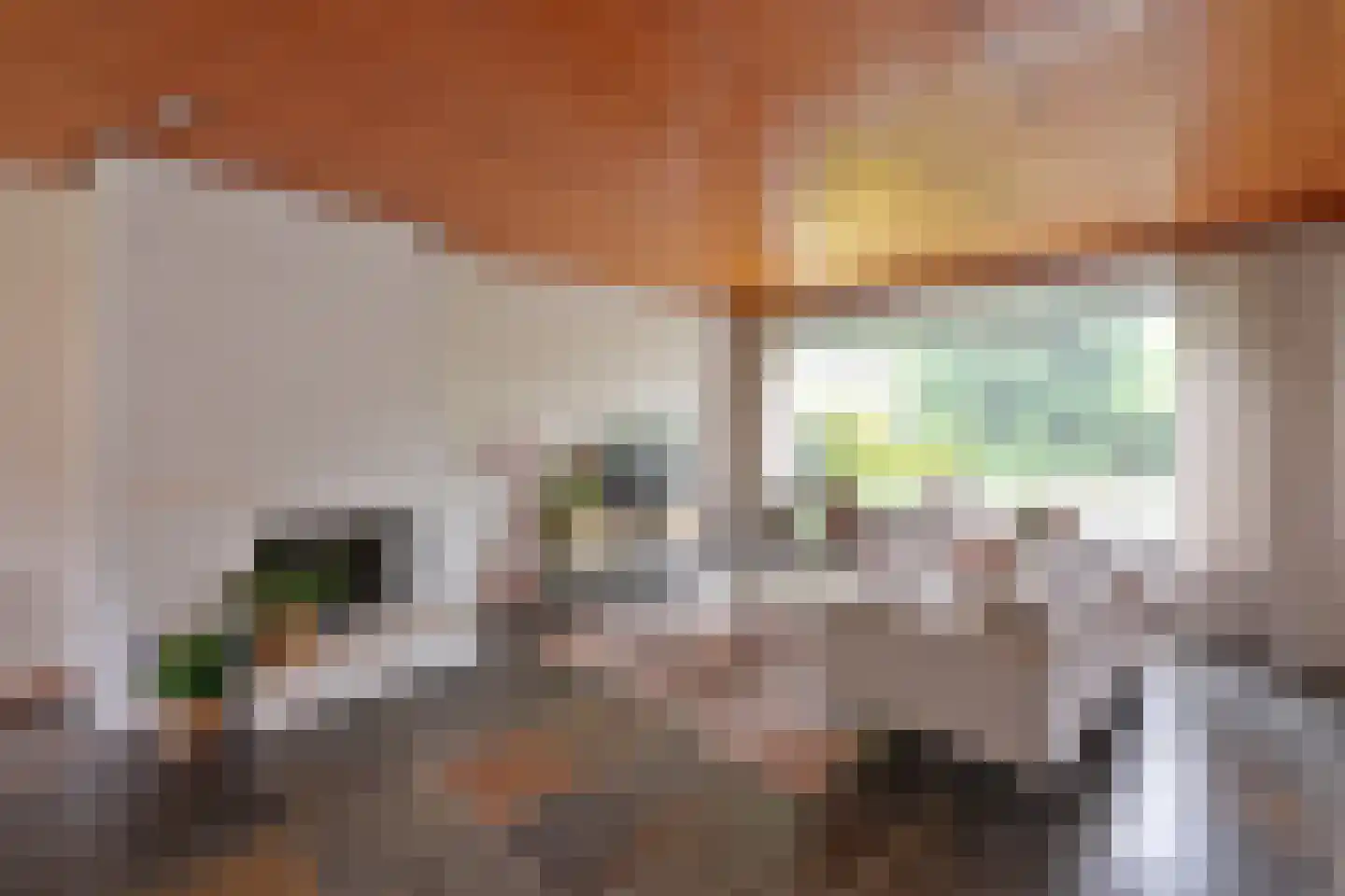De Dissel 6 Laren thumbnail 4