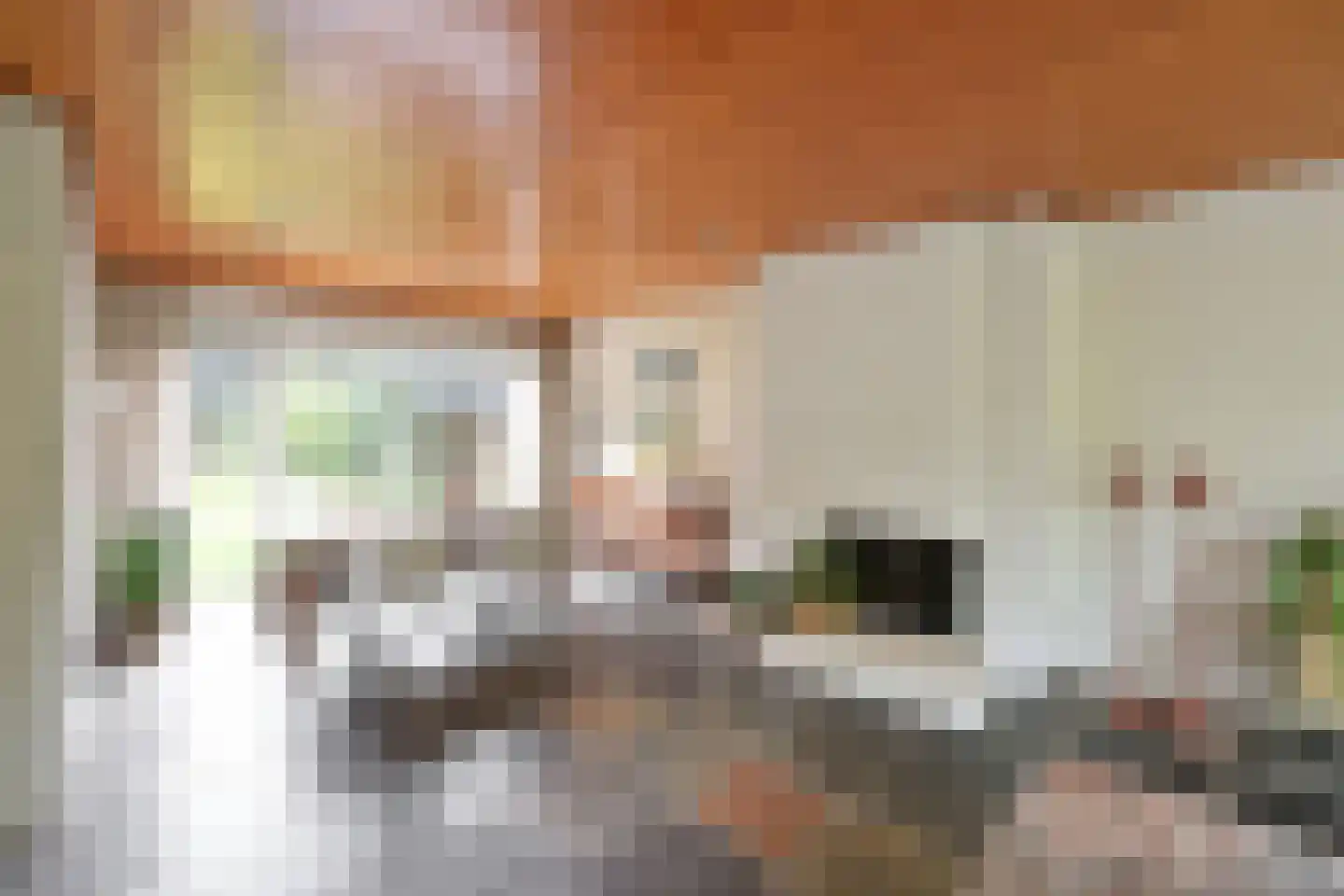 De Dissel 6 Laren thumbnail 5