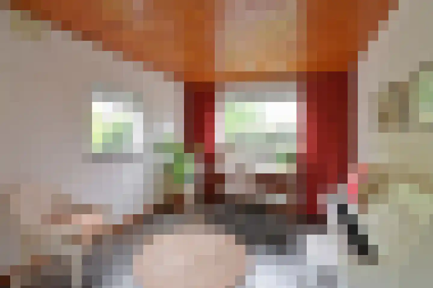 De Dissel 6 Laren thumbnail 6