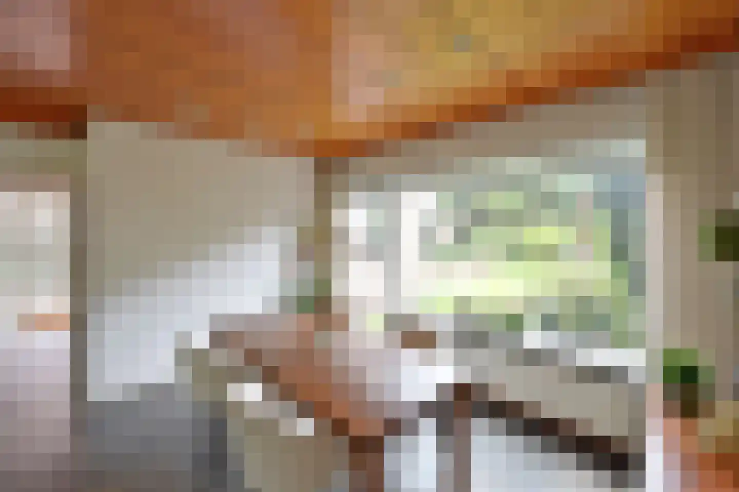 De Dissel 6 Laren thumbnail 7