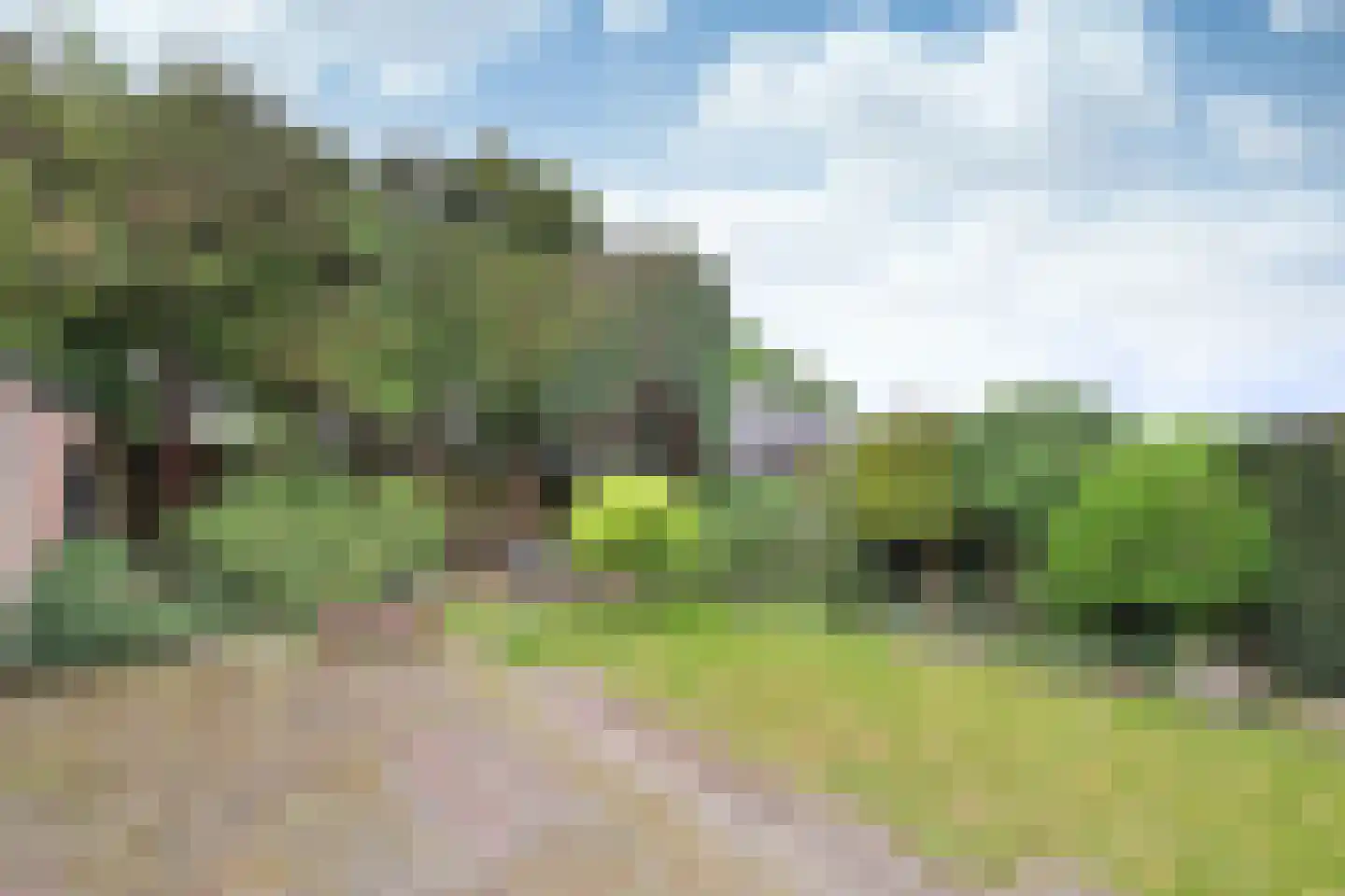 De Dissel 6 Laren thumbnail 9