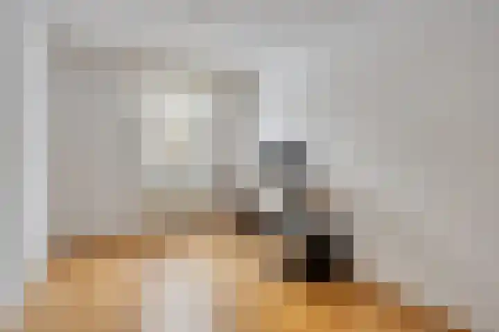 de Distele 18 Maastricht thumbnail 30