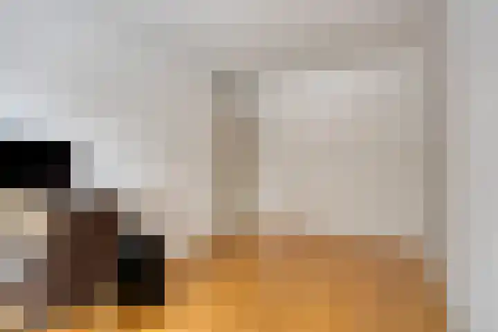 de Distele 18 Maastricht thumbnail 31