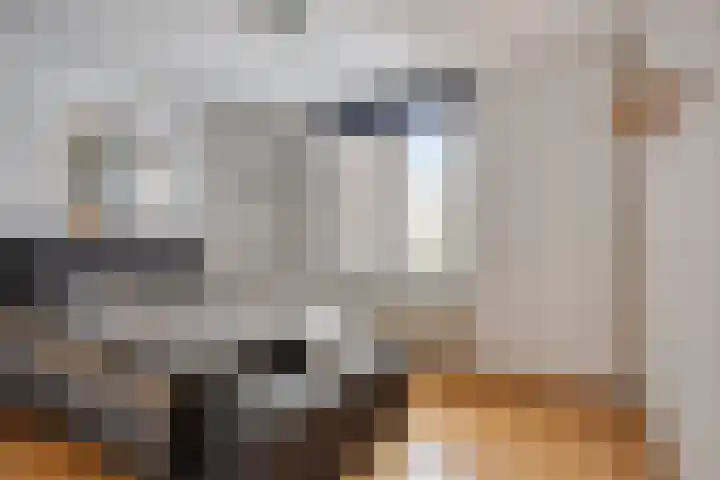 de Distele 18 Maastricht thumbnail 4