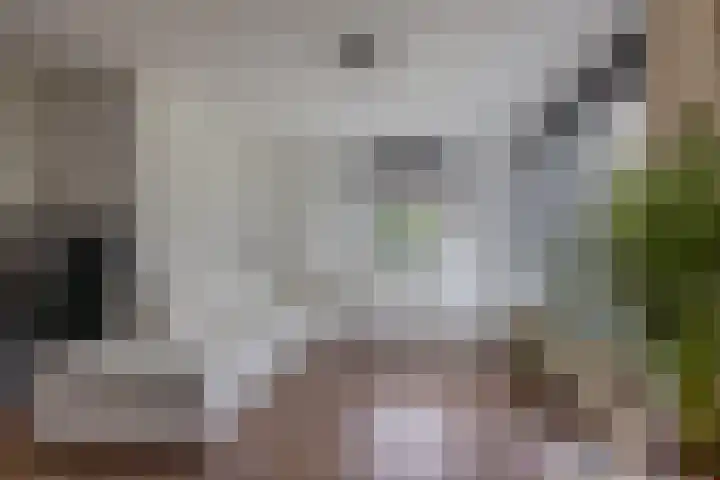 De Dobbe 14 Opende thumbnail 10