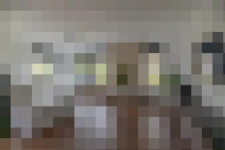 De Dobbe 14 Opende thumbnail 11