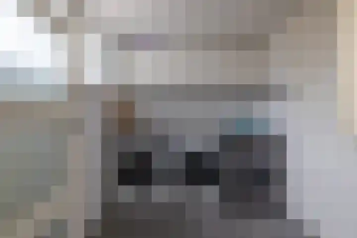 De Dobbe 14 Opende thumbnail 15