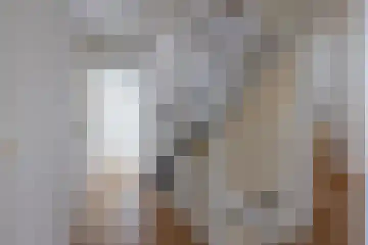 De Dobbe 14 Opende thumbnail 20