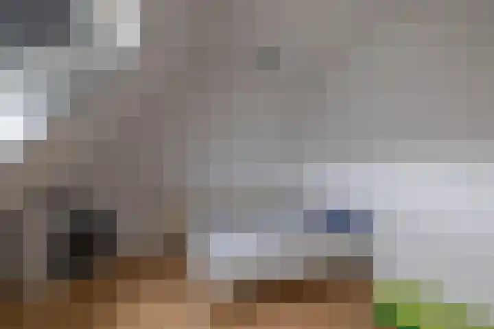 De Dobbe 14 Opende thumbnail 29