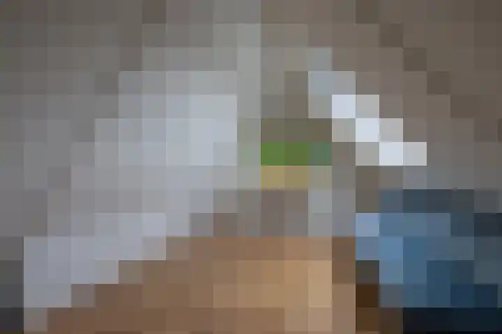 De Dobbe 14 Opende thumbnail 35