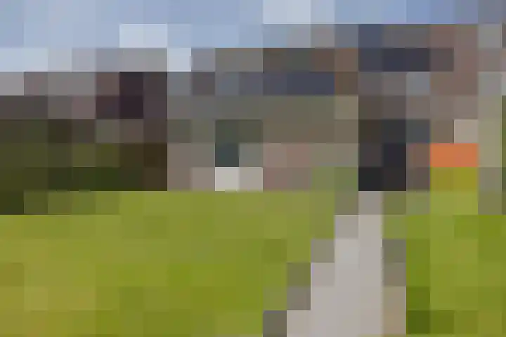 De Dobbe 14 Opende thumbnail 36