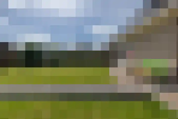 De Dobbe 14 Opende thumbnail 37