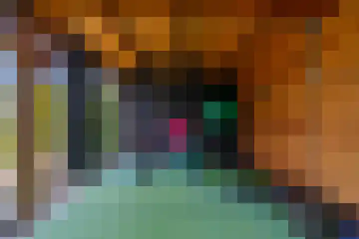 De Dobbe 14 Opende thumbnail 40