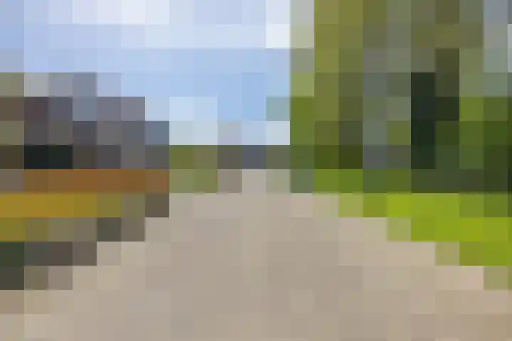 De Dobbe 14 Opende thumbnail 42