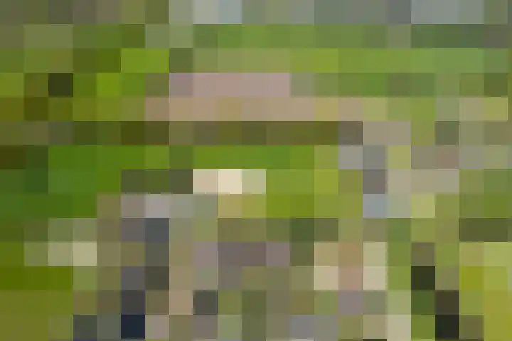 De Dobbe 14 Opende thumbnail 45