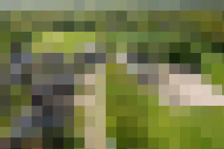 De Dobbe 14 Opende thumbnail 47