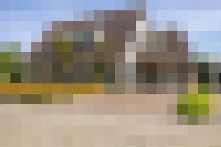 De Dobbe 14 Opende thumbnail 55