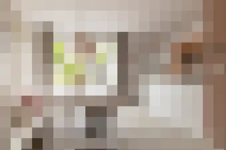 De Dobbe 7 Balk thumbnail 12