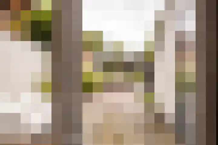 De Dobbe 7 Balk thumbnail 13