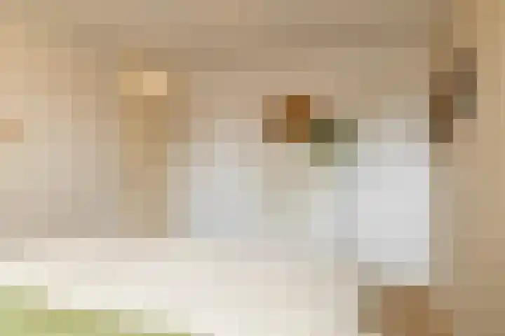 De Dobbe 7 Balk thumbnail 18
