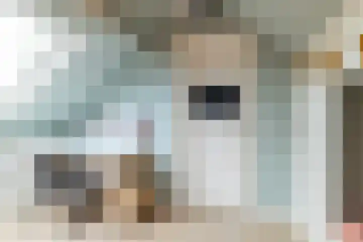 De Dobbe 7 Balk thumbnail 29
