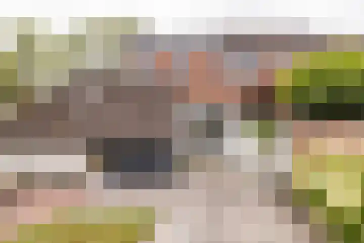 De Dobbe 7 Balk thumbnail 32