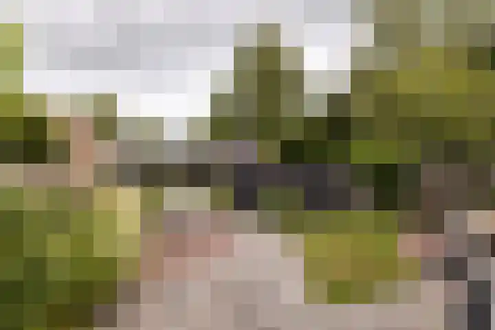 De Dobbe 7 Balk thumbnail 34