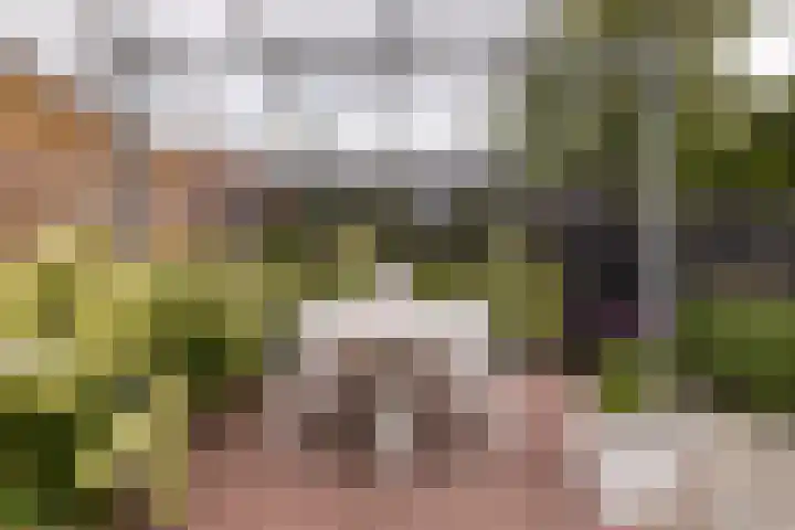 De Dobbe 7 Balk thumbnail 35
