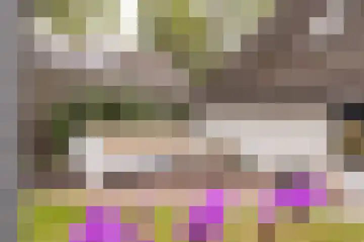 De Dobbe 7 Balk thumbnail 36