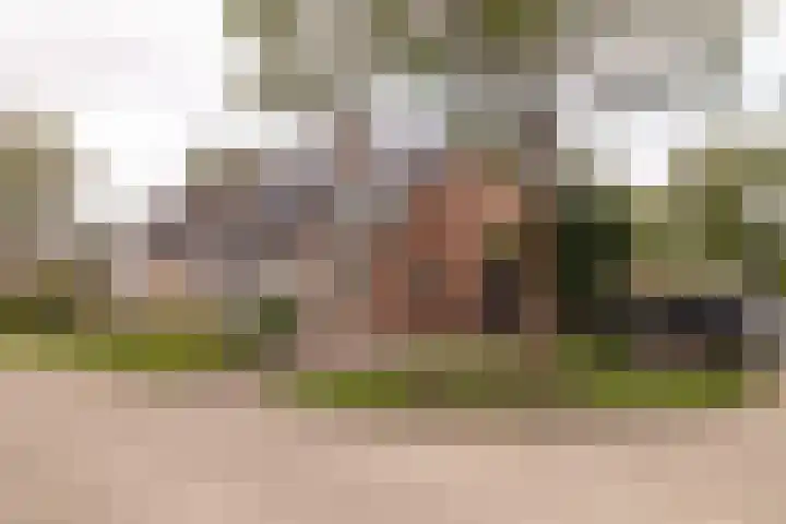 De Dobbe 7 Balk thumbnail 37