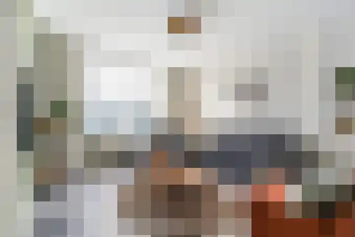 De Doelen 10 Boxtel thumbnail 10