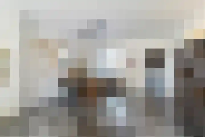 De Doelen 10 Boxtel thumbnail 13