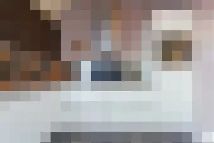 De Doelen 10 Boxtel thumbnail 17
