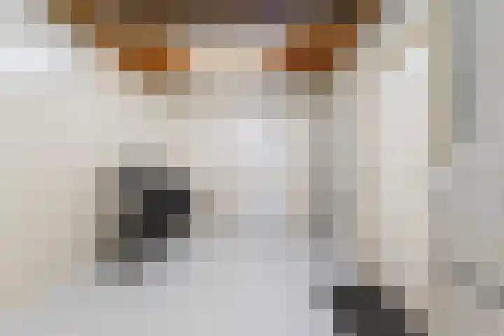 De Doelen 10 Boxtel thumbnail 20