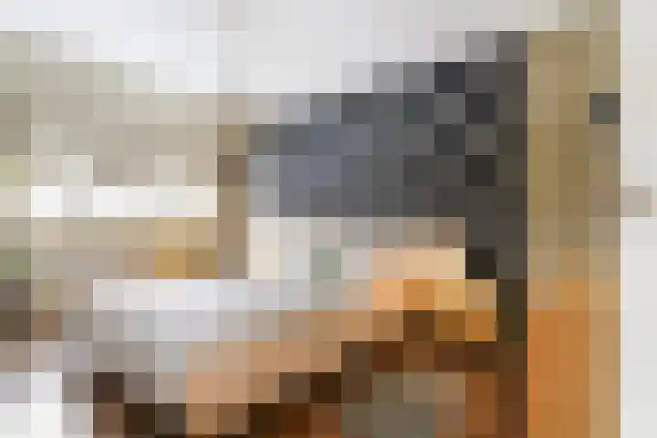 De Doelen 10 Boxtel thumbnail 24