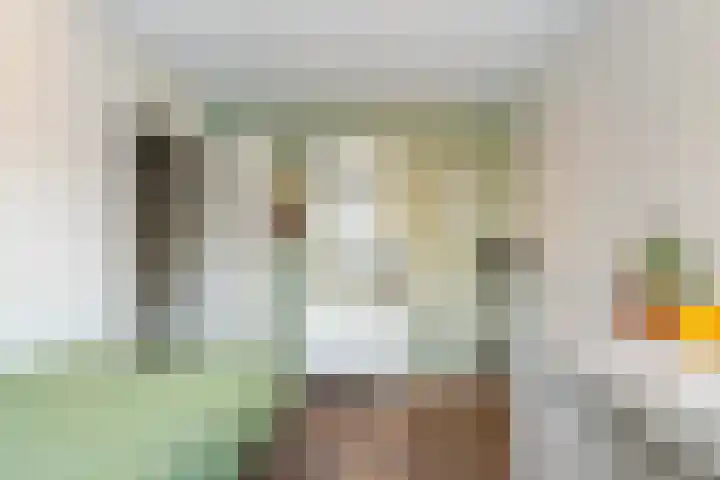 De Doelen 10 Boxtel thumbnail 27