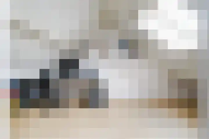 De Doelen 10 Boxtel thumbnail 37