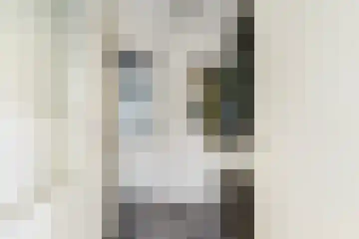 De Doelen 10 Boxtel thumbnail 4