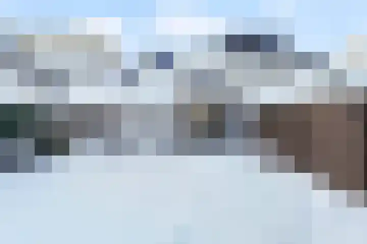 De Doelen 10 Boxtel thumbnail 41